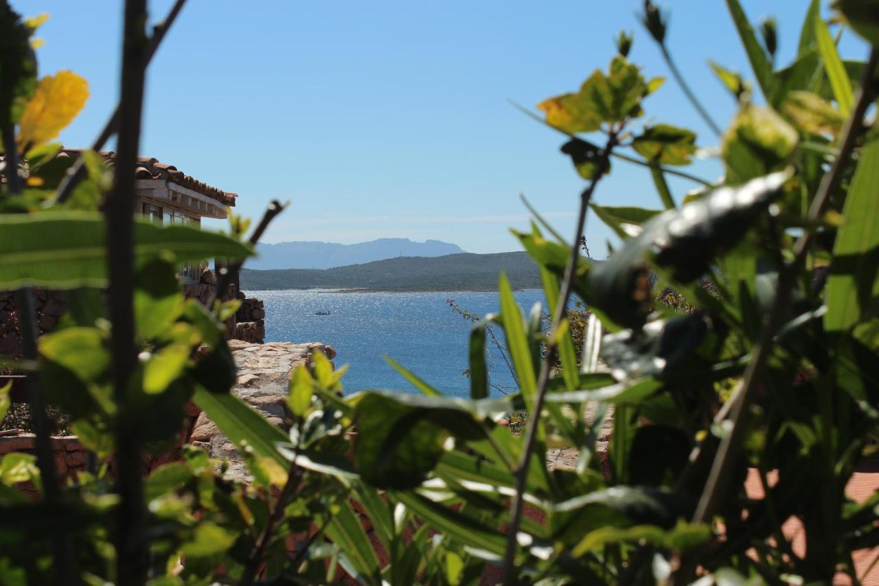 Appartamento A Porto Rotondo - Villaggio Punta Volpe - Iun S5393 Eksteriør bilde