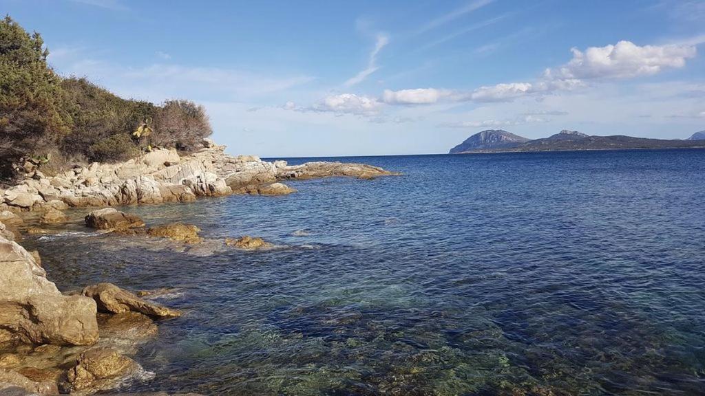 Appartamento A Porto Rotondo - Villaggio Punta Volpe - Iun S5393 Eksteriør bilde