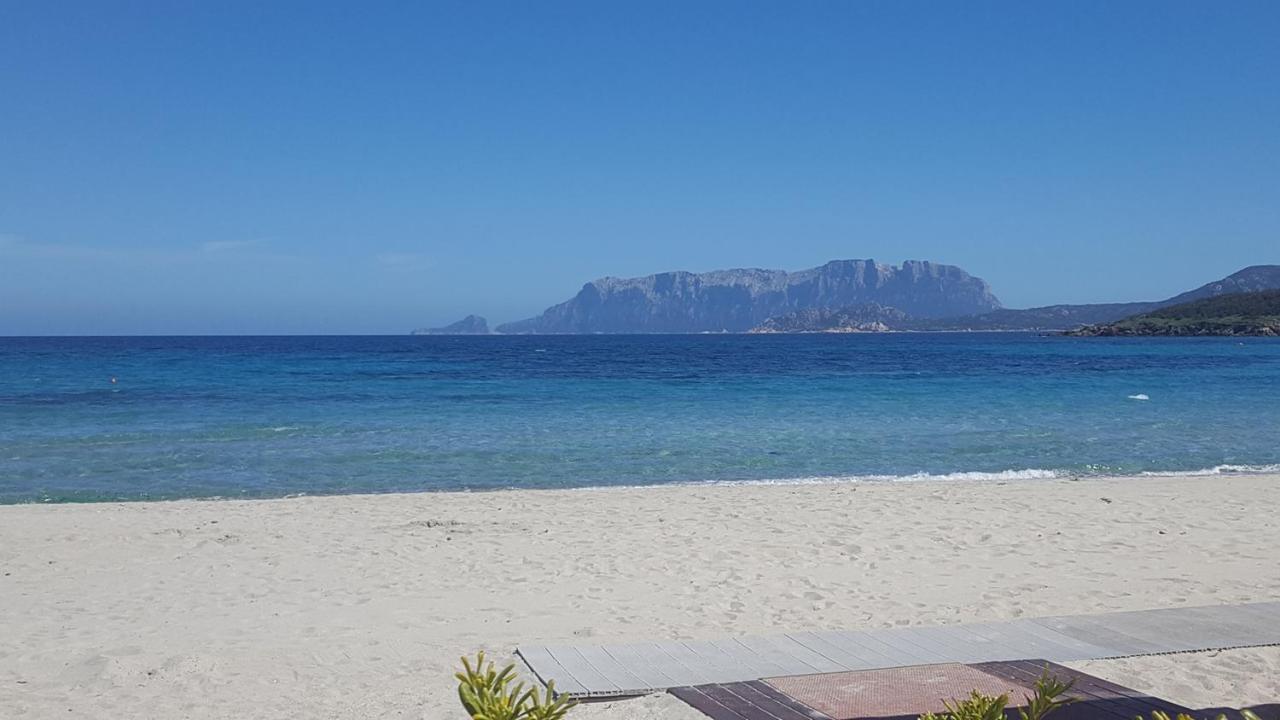 Appartamento A Porto Rotondo - Villaggio Punta Volpe - Iun S5393 Eksteriør bilde