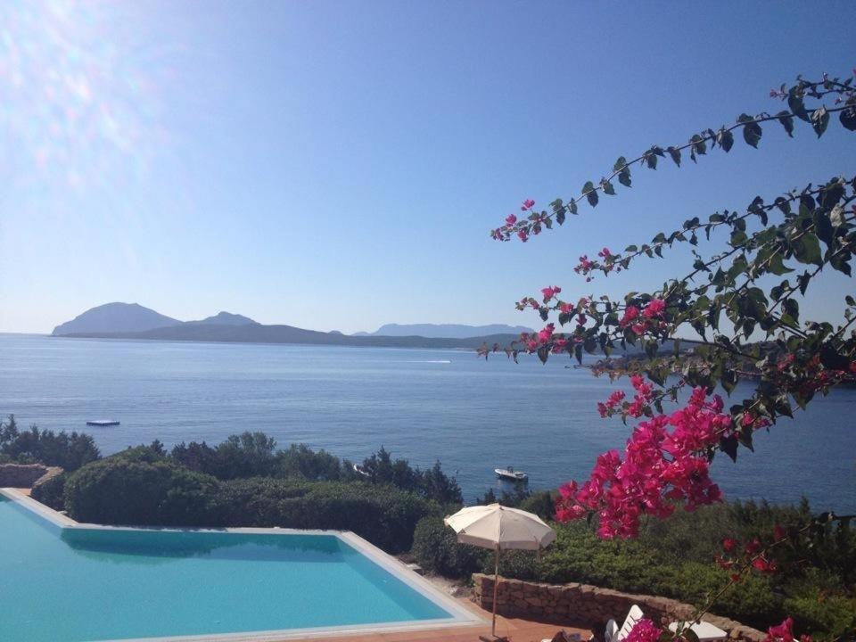 Appartamento A Porto Rotondo - Villaggio Punta Volpe - Iun S5393 Eksteriør bilde