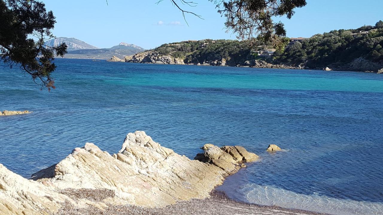 Appartamento A Porto Rotondo - Villaggio Punta Volpe - Iun S5393 Eksteriør bilde